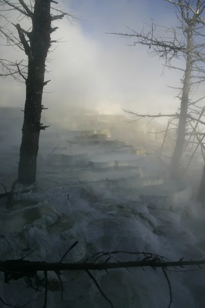 Park Narodowy Yellowstone — Zdjęcie stockowe