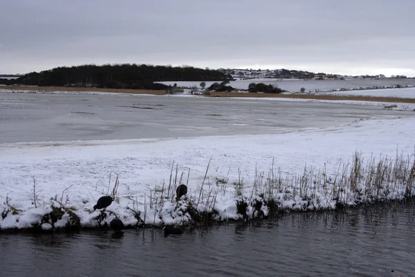 Cley naturreservat — Stockfoto