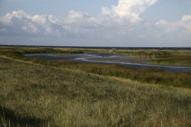 Falsterbo Yarımadası