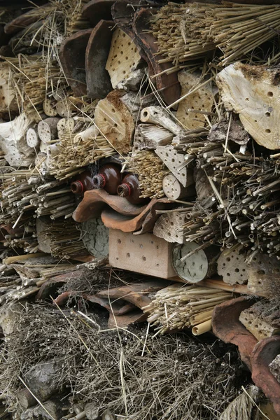 Insektenkästen — Stockfoto