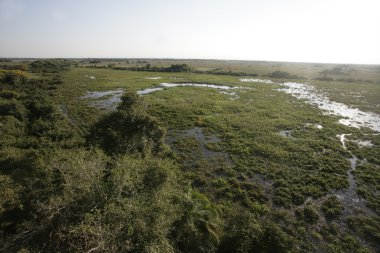 Pantanal