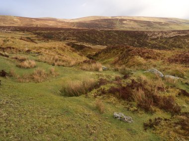 Dartmoor, devon, Mart 2014          