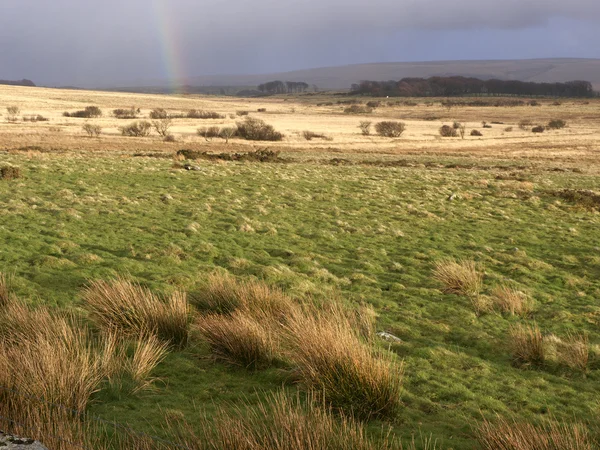 Dartmoor, devon, marca 2014 — Zdjęcie stockowe