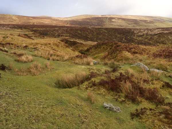 Dartmoor, devon, marca 2014 — Zdjęcie stockowe