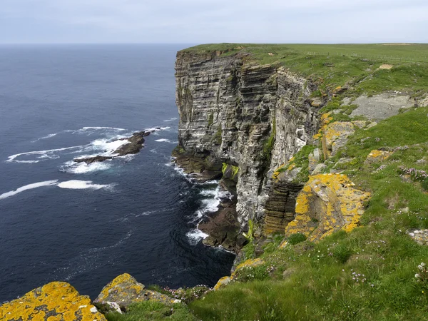 Marwick Head — Stock Photo, Image