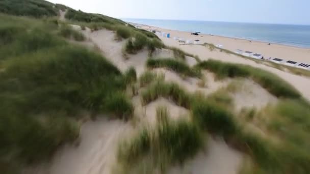 Drone aéreo FPV veiw da praia na Zelândia Holanda, Holanda, dunas de verão à beira-mar — Vídeo de Stock
