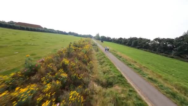 FPV seguindo uma mulher em uma bicicleta em lindas flores da natureza e grama lan, Holanda. Zelândia. — Vídeo de Stock