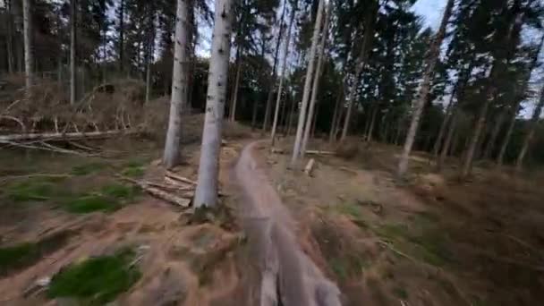 Parcours d'essai VTT à travers la forêt en suivant le chemin dans la nature avec des arbres et des feuillages. — Video