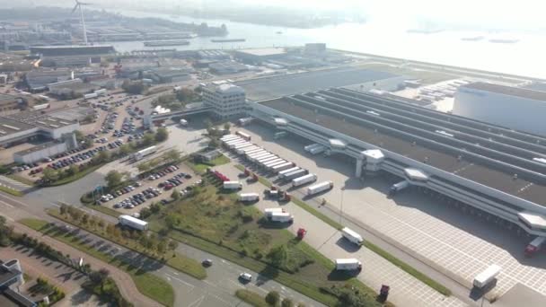 Zaandam, 9 oktober 2021, Nederland. Albert Heijn distributiecentrum luchtfoto van vrachtwagens laden en lossen op een zonnige dag. — Stockvideo