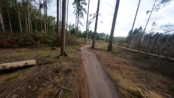 Mountainbike rota caminho experimental através da forrest seguindo o caminho na natureza com árvores e folhagem. — Vídeo de Stock