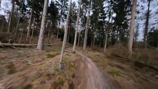 Пробный маршрут горного велосипеда через лес, следуя тропе в природе с деревьями и листвы. — стоковое видео