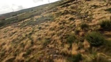 FPV yarış uçağı Madeira Portekiz 'de açık bir alanda uçuyor. Açık alanda alçaktan uçmak.