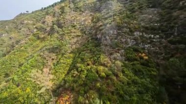 Cliff Valley FPV İHA 'larla yarışıyor. Hava aracı kamera, ağaçlar ve kayalıklar arasında dalış yapan manzaralı manzara..