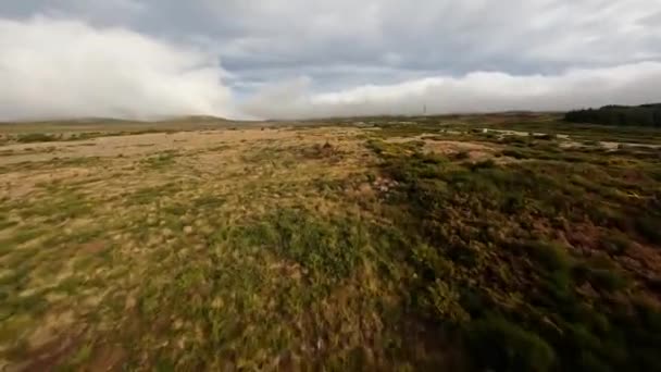 FPV Renndrohne fliegt über ein offenes Feld auf Madeira Portugal. Tiefflieger über offenem Feld. — Stockvideo