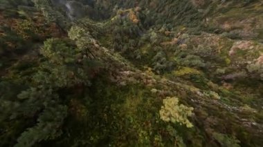 Cliff Valley FPV İHA 'larla yarışıyor. Hava aracı kamera, ağaçlar ve kayalıklar arasında dalış yapan manzaralı manzara..