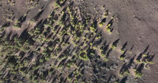 Drone antenn av toppen av ett vulkaniskt berg i en nationell naturpark, stenig grov vacker landskap på en ö Teneriffa, Spanien, Europa. — Stockvideo