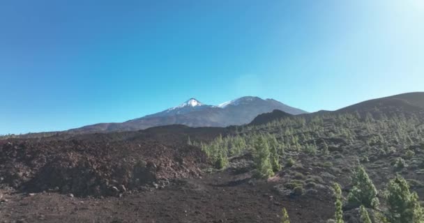 Drone aérien du sommet d'une montagne volcanique dans un parc naturel national, rocheux rugueux beau paysage sur une île de Tenerife, Espagne, Europe. — Video