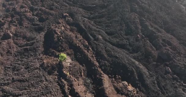 国立自然公園内の火山山のピークの無人航空機、島のテネリフェ島、スペイン、ヨーロッパの岩のラフ美しい風景. — ストック動画