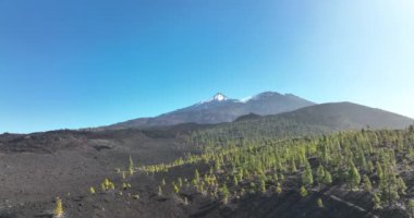 El tiede volkanı kayalık manzara ulusal park pürüzlü volkanik manzara. Uçurumun kenarındaki açık yeşil ağaçlar