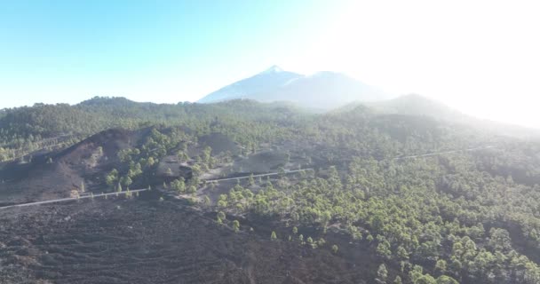 Drone aérea de la cima de una montaña volcánica en un parque natural nacional, rocoso paisaje hermoso áspero en una isla Tenerife, España, Europa. — Vídeos de Stock