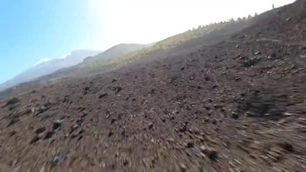 Drone FPV volant à travers un parc national de paysage rocheux volcanique. Pierre brute. Arbres verts clairs dans un paysage de falaises par une journée ensoleillée. Tenerife, Espagne, îles Canaries, — Video