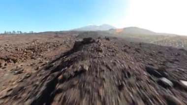 FPV insansız hava aracı volkanik kayalık bir arazide ulusal parkın içinde uçuyor. Pürüzlü taş. Güneşli bir günde uçurumun kenarındaki açık yeşil ağaçlar. Tenerife, İspanya, kanarya adaları,