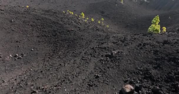 El tiede vulkan stenig landskap nationalpark Grov vulkaniska landskap. — Stockvideo