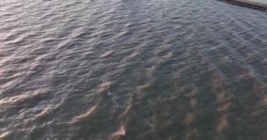 Paard van Marken 'in Hollanda' daki Marken adasındaki geleneksel tarihi anıt deniz fenerindeki hava manzarası. Avrupa 'da küçük bir balıkçı köyü.