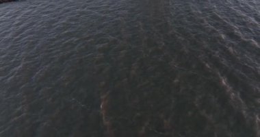 Paard van Marken 'in Hollanda' daki Marken adasındaki geleneksel tarihi anıt deniz fenerindeki hava manzarası. Avrupa 'da küçük bir balıkçı köyü.