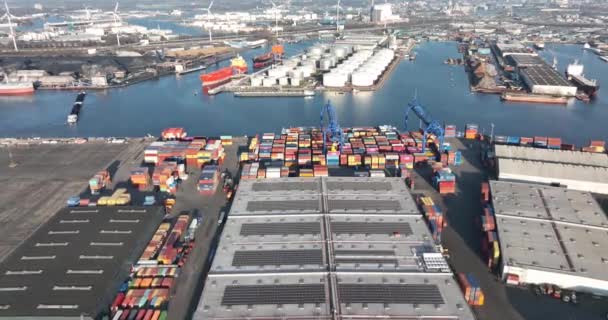 Amsterdam, 2 maart 2022, Nederland. Container scheepvaart supply chain industriële haven logistiek. Grote vrachtschepen haven en kranen voor het vervoer van ladingsdistributie van containers. — Stockvideo