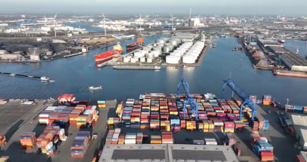 Άμστερνταμ, 2 Μαρτίου 2022, Κάτω Χώρες. Εμπορευματοκιβώτια εφοδιαστική αλυσίδα βιομηχανικού λιμανιού. Μεγάλος λιμένας φορτηγών πλοίων και γερανοί που μεταφέρουν τη διανομή φορτίου εμπορευματοκιβωτίων. — Αρχείο Βίντεο