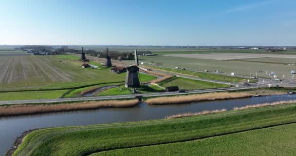 Historic dutch windmills in a farm and grass field landscape in The Netherlands Holland. Famous touristic attraction for sightseeing heritage vintage and historic countryside. — Stock Video