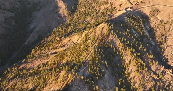 Vue aérienne panoramique spectaculaire d'un sommet de montagne sauvage et d'un paysage volcanique rocheux forestier routier dans les nuages au coucher du soleil à l'heure dorée à Tenerife, Espagne, Europe. — Video