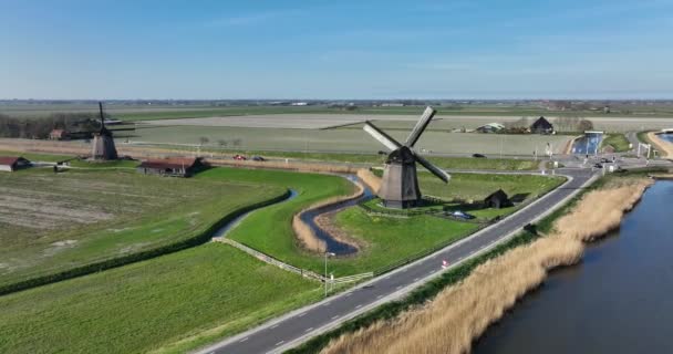 Historic dutch windmills in a farm and grass field landscape in The Netherlands Holland. Famous touristic attraction for sightseeing heritage vintage and historic countryside. — Stock Video