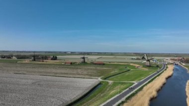 Hollanda 'da bir çiftlik ve çim arazisindeki tarihi Alman yel değirmenleri. Tarihi kırsal ve tarihi tarihi mirası gezmek için ünlü turistik bir cazibe..