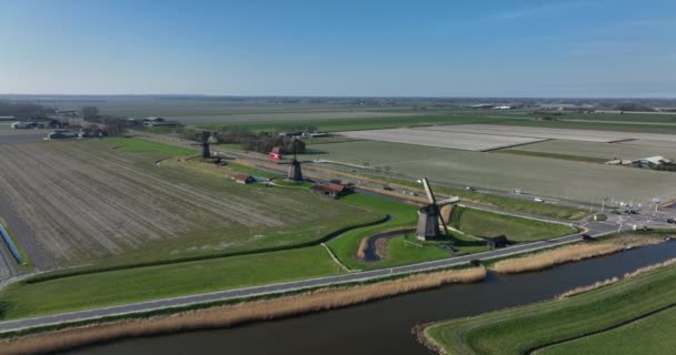 Historic dutch windmills in a farm and grass field landscape in The Netherlands Holland. Famous touristic attraction for sightseeing heritage vintage and historic countryside. — Stock Video