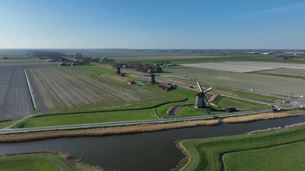 Historic dutch windmills in a farm and grass field landscape in The Netherlands Holland. Famous touristic attraction for sightseeing heritage vintage and historic countryside. — Stock Video