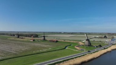 Hollanda 'da bir çiftlik ve çim arazisindeki tarihi Alman yel değirmenleri. Tarihi kırsal ve tarihi tarihi mirası gezmek için ünlü turistik bir cazibe..
