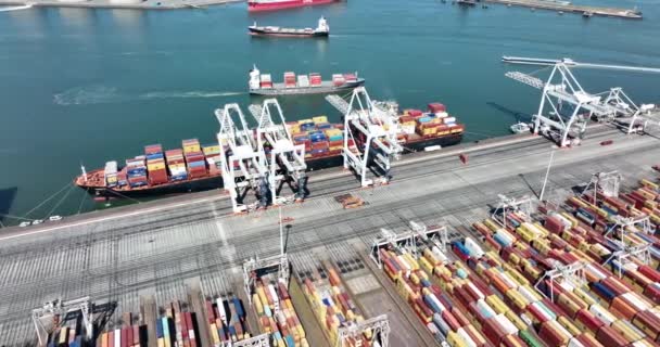 Rotterdam, 18 april 2022, Nederland. Container terminal logistiek schip laden en lossen van import en export dock commerciële haven drone view. goederenbedrijf — Stockvideo
