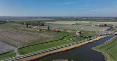 Hollanda 'da bir çiftlik ve çim arazisindeki tarihi Alman yel değirmenleri. Tarihi kırsal ve tarihi tarihi mirası gezmek için ünlü turistik bir cazibe..