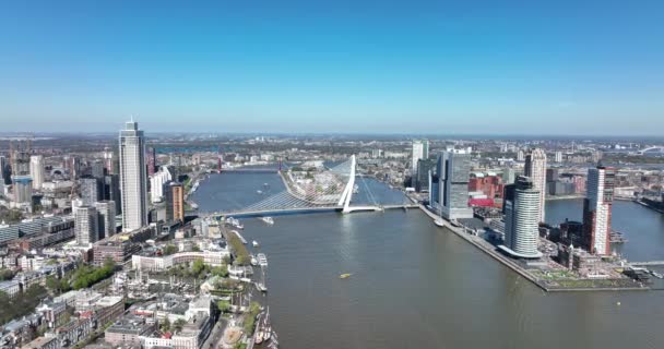 Rotterdamse skyline in Nederland drone zicht op de Maas en kantoorgebouwen stadsgezicht. Bestemming in Nederland. Erasmusbrug en Maas stadsgezicht. — Stockvideo