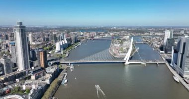 Hollanda 'daki Rotterdam şehrinin silueti Maas ve ofis binalarının manzarasına bakıyor. Varış yeri Hollanda. Erasmusbrug ve nehir Maas şehir manzarası.