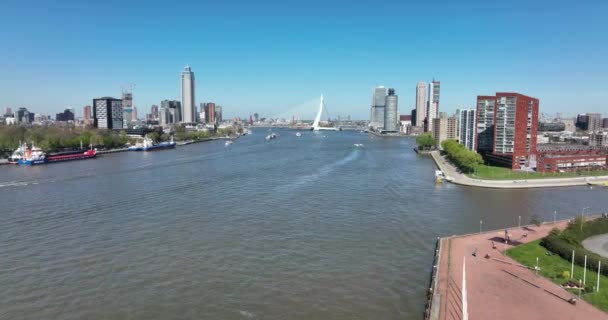 Linia orizontului orașului Rotterdam în Țările de Jos vedere dronă la Maas și clădirile de birouri vedere la oraș. Destinație în Olanda. Erasmusbrug și râul Maas vedere urbană la oraș. — Videoclip de stoc