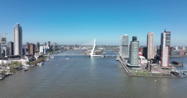 Hollanda 'daki Rotterdam şehrinin silueti Maas ve ofis binalarının manzarasına bakıyor. Varış yeri Hollanda. Erasmusbrug ve nehir Maas şehir manzarası. — Stok video