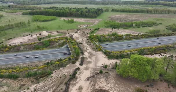 Ecoduct ecopassage or animal bridge crossing over the A12 highway in the Netherlands. Structure connecting forrest ecology landscape over the freeway — Stockvideo