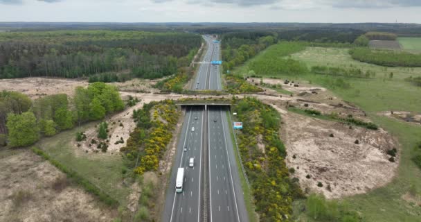 Ecoduct ecopassage or animal bridge crossing over the A12 highway in the Netherlands. Structure connecting forrest ecology landscape over the freeway — ストック動画