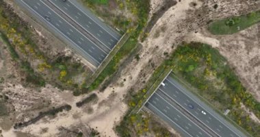 Ecoduct ecopassage or animal bridge crossing over the A12 highway in the Netherlands. Structure connecting forrest ecology landscape over the freeway
