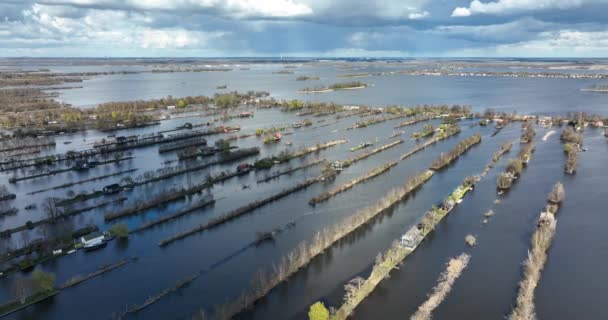 Losdrechtse plassen κανάλια πλωτών οδών λιμάνι και καλλιεργούνται τάφρο φύση κοντά Vinkeveen Utrecht. Λίμνη και υδάτινα πεδία μικρά νησιά και δομημένη φύση. Τυπικό ολλανδικό Holland θέαμα τουριστικό. — Αρχείο Βίντεο