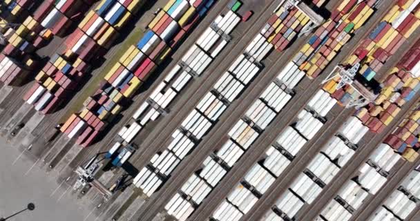Rotterdam, 18 kwietnia 2022, Holandia. Terminal kontenerowy logistyczne załadunku i rozładunku statków importowych i eksportowych Port komercyjny widok z lotu ptaka. działalność towarowa — Wideo stockowe