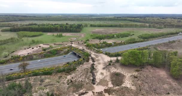 Ecoduct ecopassage or animal bridge crossing over the A12 highway in the Netherlands. Structure reliant forrest écologie paysage sur l'autoroute — Video